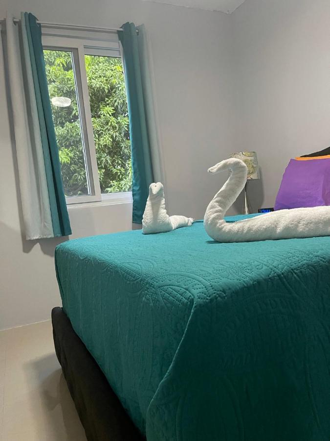 Jamrock Suites 킹스톤 외부 사진